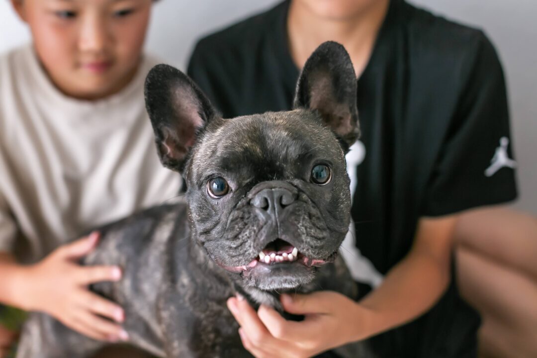 PET9