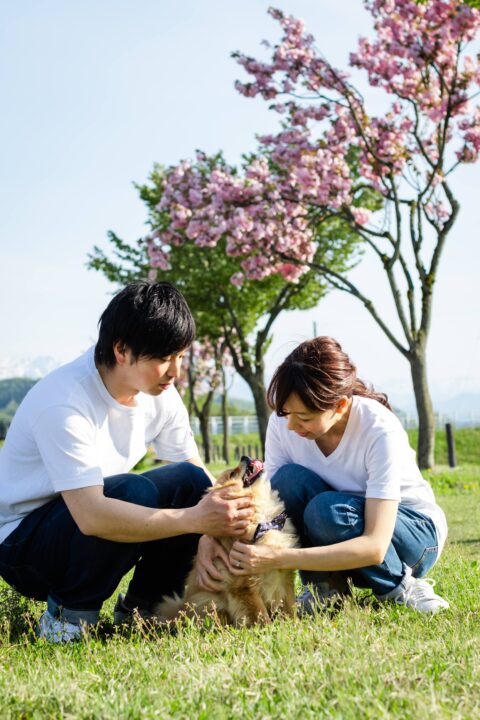 PET4